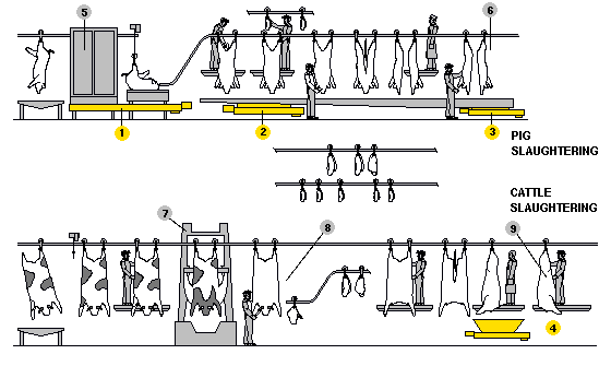 Jatka